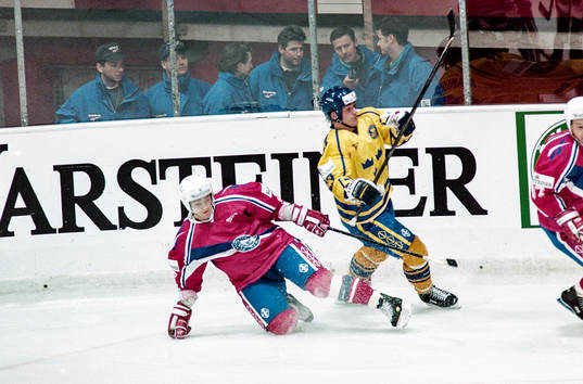 Mikael Andersson, Sverige stoppas