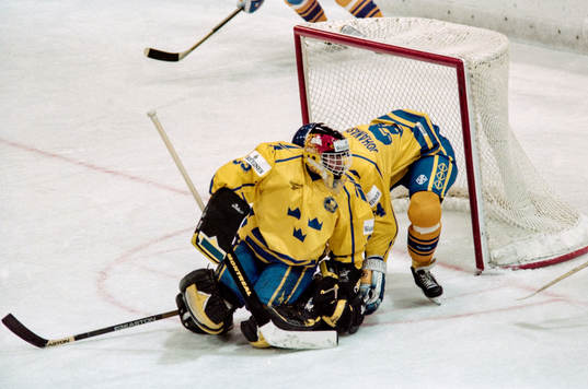 Sveriges målvakt Tommy Salo och Roger Johansson i samarbete