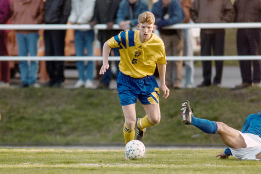 Sebastian Henriksson, Sverige