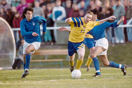 Niklas Skoog, Sverige