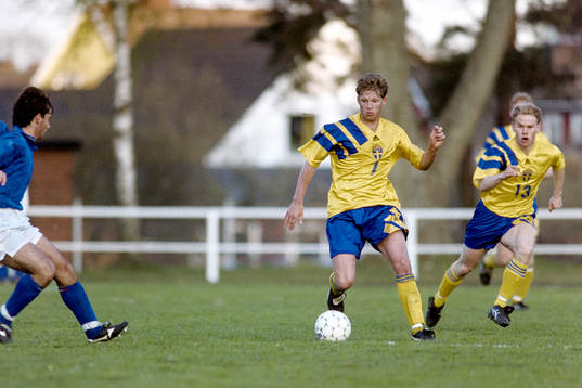 Joakim Pettersson, Sverige