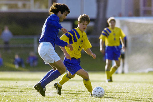 Jesper Ljung, Sverige