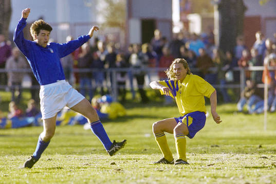 Daniel Tjernström, Sverige