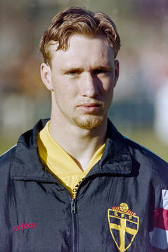 Niklas Skoog, Sverige