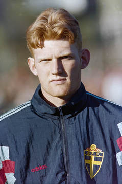Sebastian Henriksson, Sverige