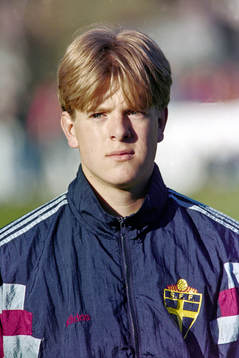 Jesper Ljung, Sverige
