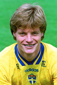Stefan Schwarz, Sverige