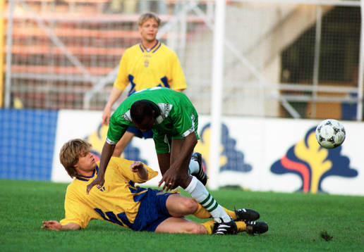 Stefan Schwarz, Sverige