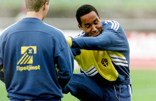 Martin Dahlin, Sverige