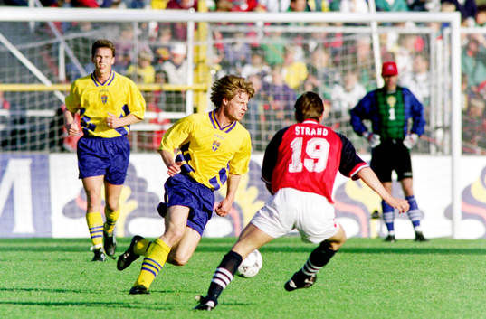 Stefan Schwarz, Sverige