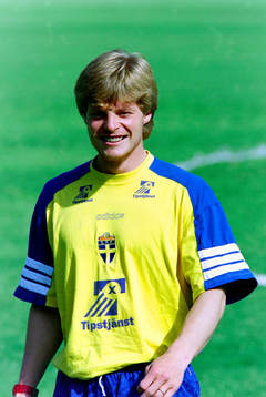 Stefan Schwarz, Sverige