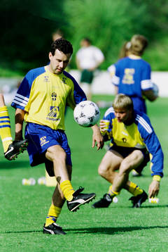 Stefan Rehn, Sverige