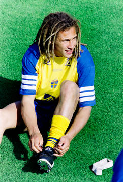 Henrik Larsson, Sverige