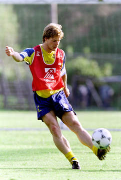 Stefan Schwartz, Sverige