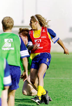 Henrik Larsson, Sverige