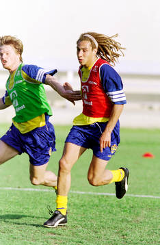 Henrik Larsson, Sverige