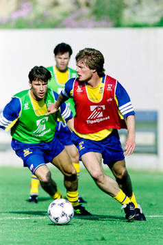 Stefan Schwarz