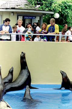 Stefan Rehn, Henrik Larsson och Mikael Nilsson på SeaWorld