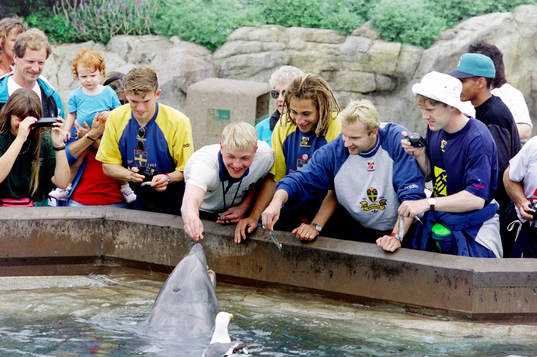 Jesper Blomqvist, Magnus Hedman, Henrik Larsson, Håkan