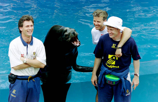 Pontus Kåmark, Roland Nilsson och Jan Eriksson, Sverige