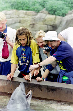 Henrik Larsson, Håkan Mild och Jan Eriksson, Sverige på