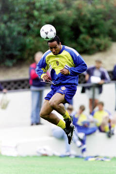 Martin Dahlin, Sverige