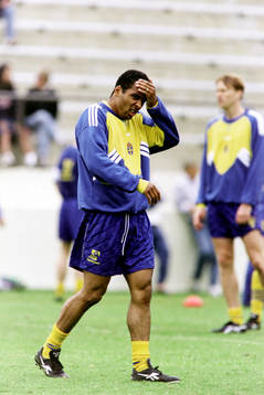 Martin Dahlin, Sverige