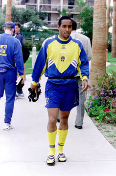 Martin Dahlin, Sverige