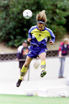 Henrik Larsson, Sverige