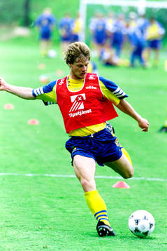 Stefan Schwarz