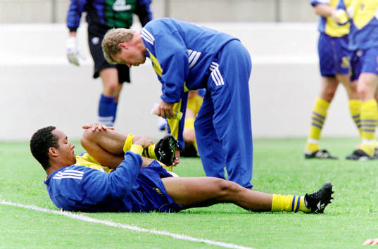 Martin Dahlin, Sverige