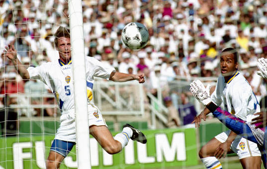 Roger Ljung och Martin Dahlin, Sverige