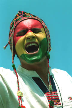 Fotboll, VM, Bolivia - Spanien