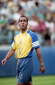 Martin Dahlin, Sverige