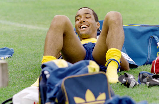 Martin Dahlin, Sverige