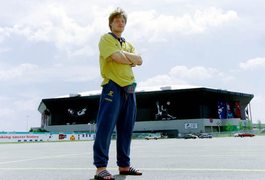 Stefan Schwarz, Sverige