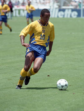 Martin Dahlin, Sverige