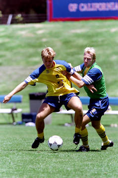 Tomas Brolin och Håkan Mild, Sverige