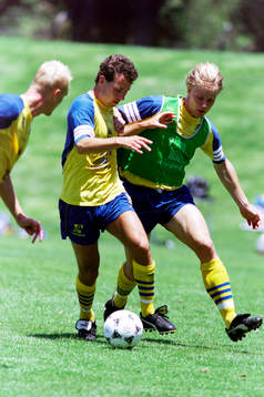 Stefan Rehn och Mikael Nilsson, Sverige