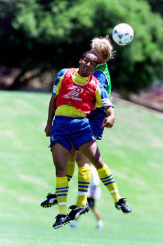 Martin Dahlin, Sverige