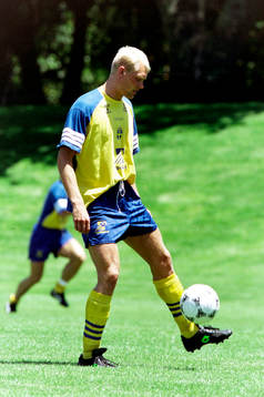 Klas Ingesson, Sverige