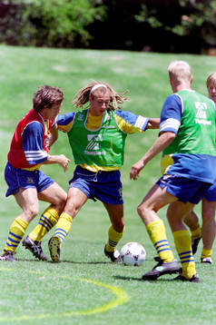 Henrik Larsson, Sverige