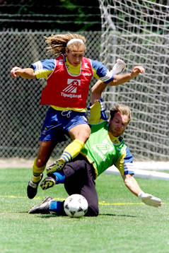 Henrik Larsson, Sverige
