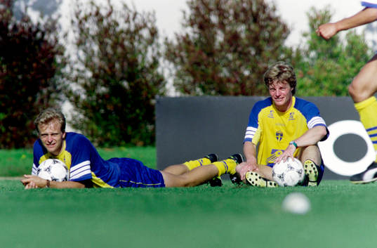 Jonas Thern och Stefan Schwarz, Sverige