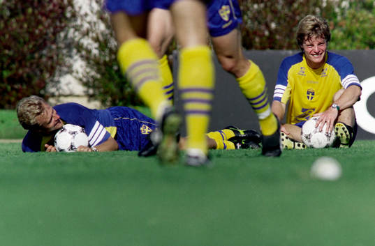 Jonas Thern och Stefan Schwarz, Sverige