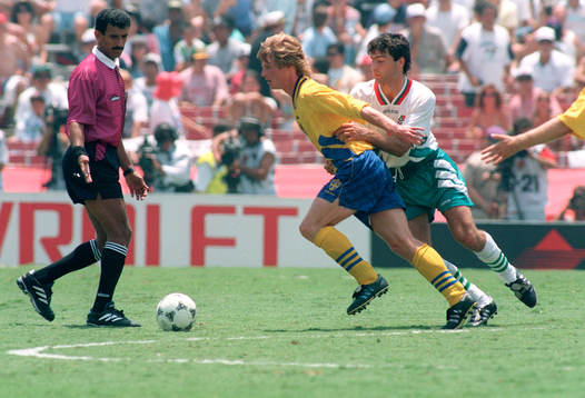 Stefan Schwarz, Sverige