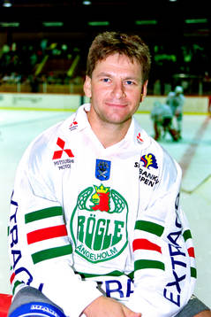 Stanislav Meclar, Rögle