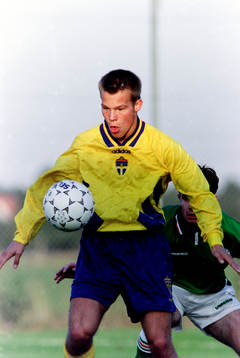 Fredrik Ljungberg, Sverige