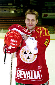 Bedrich Scerban, Brynäs