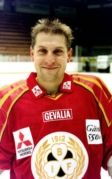 Bedrich Scerban, Brynäs